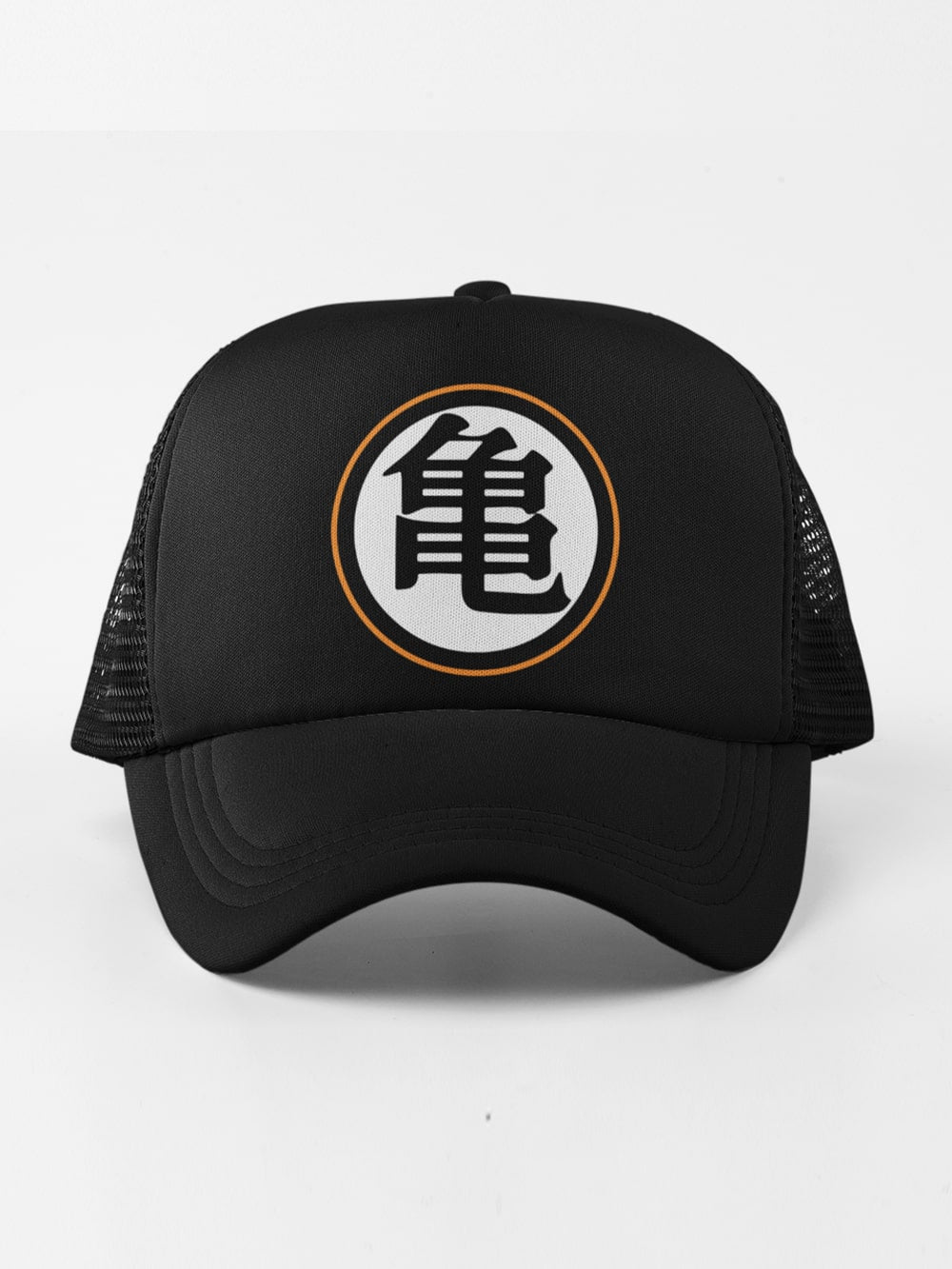 Turtle Hermit | DBZ Anime Caps