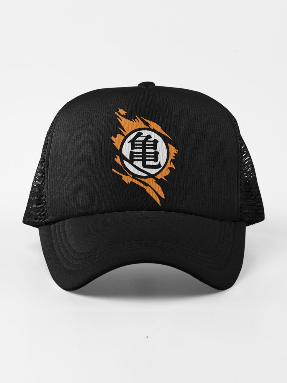 Turtle Hermit | DBZ Anime Caps