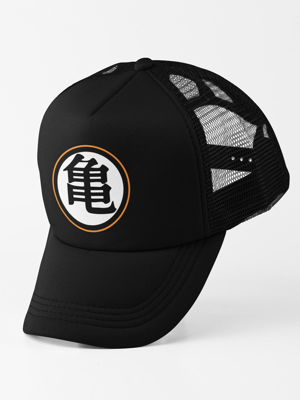 Turtle Hermit | DBZ Anime Caps